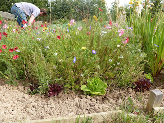 Allotment