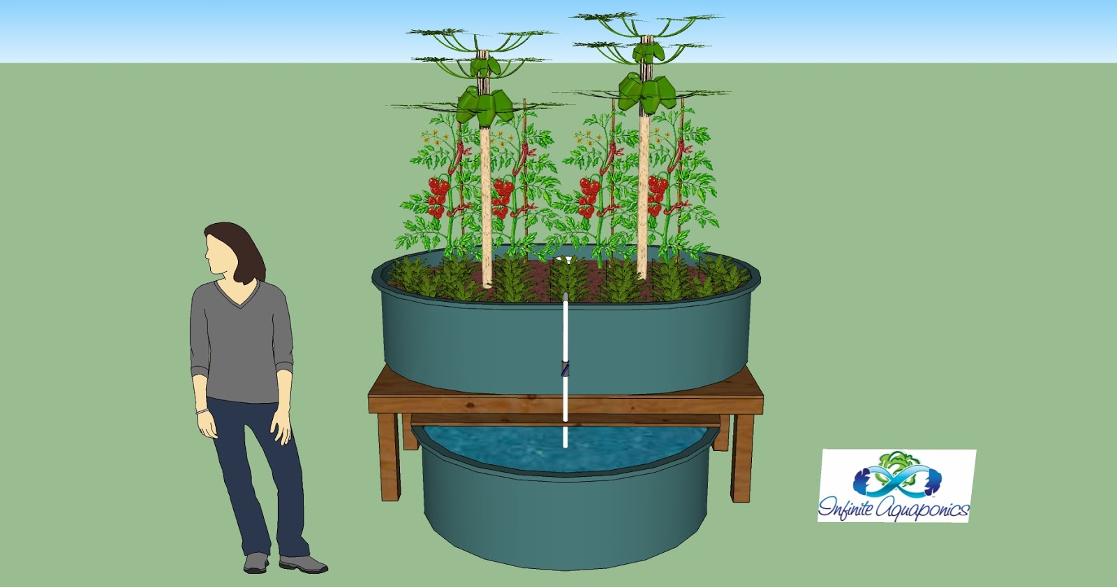 ... Aquaponics: SketchUp Archive [300 Gallon Stock Tank Aquaponics