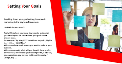 Setting goals is the most important secret to becoming a successful leader of TwentyXpro Twenty Euro