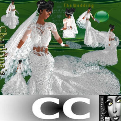 It is called Charltina 39s Take a Chance wedding gown because it just lures