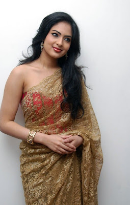 Nikisha Patel Hot Transparent Saree Photos