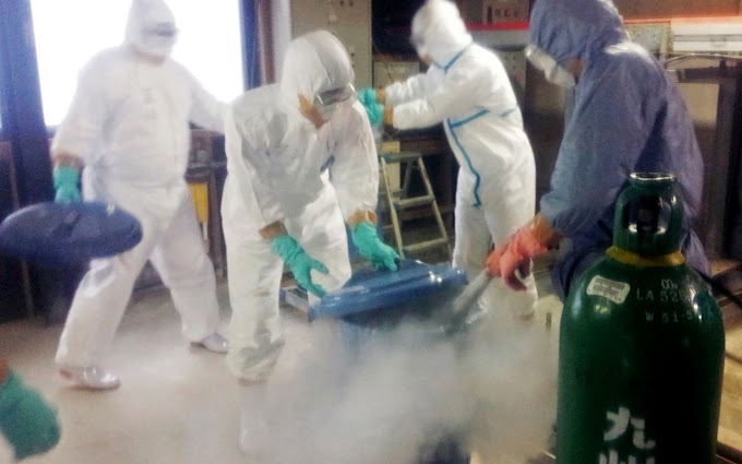 Japan  government culling 90,000 more birds for avian flu.