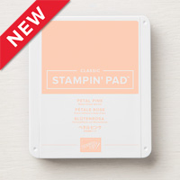 https://www2.stampinup.com/ecweb/product/147108/petal-pink-classic-stampin-pad