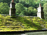 Moss covered roof in Lathkill Dale