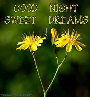 good night sweet dreams pics