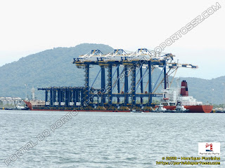 Zhen Hua 10