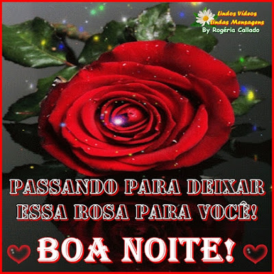 Passando para deixar essa rosa para você! 