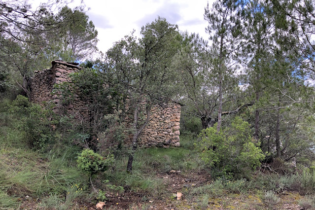 Només vam saber trobar una de les dues cabanes.