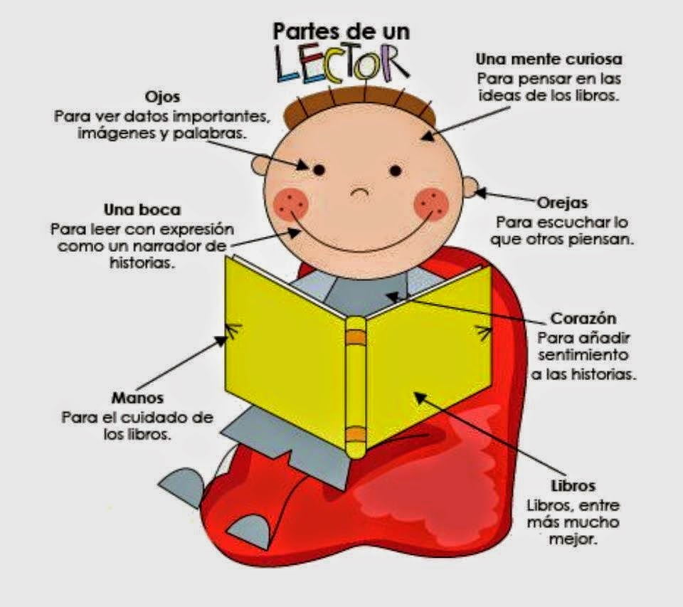 Partes de un lector