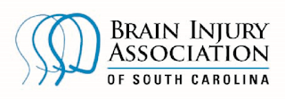 Brain Injury Association of SC logo 