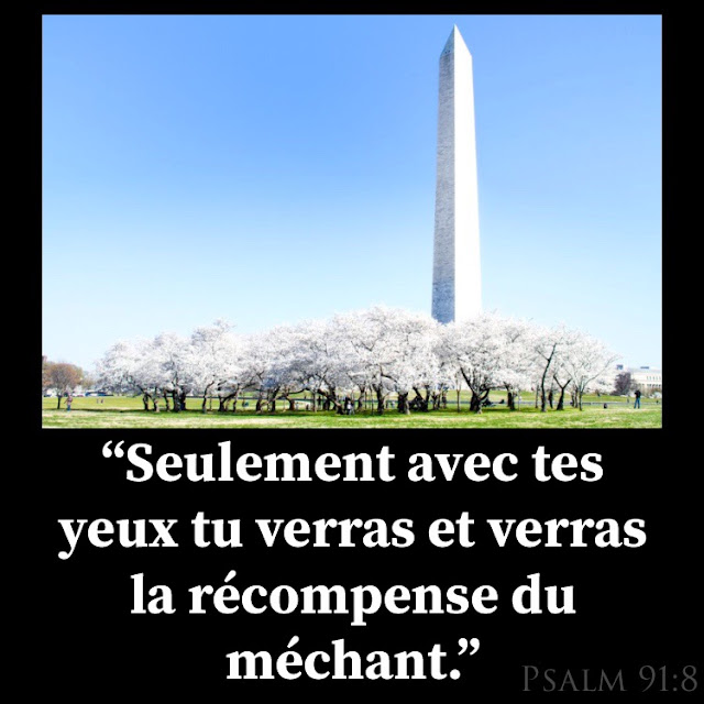 Psaume chapitre 91 | Dieu va te protéger! étude biblique, Dieu, Jésus, sécurité, religion, foi, Washington, USA, voyage, mémoire, gouvernement, verset 1,2,3,4,5,6,7,8,9,10,11,12,13 14,15,16, anglais, photographie, Amérique, américain, église