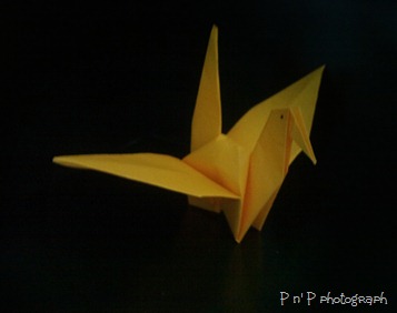 Photograph by Me and Pipah edited