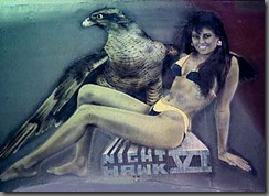 night hawk