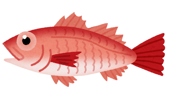 ダウンロード可能 魚 正面 イラスト かわいい無料イラスト素材