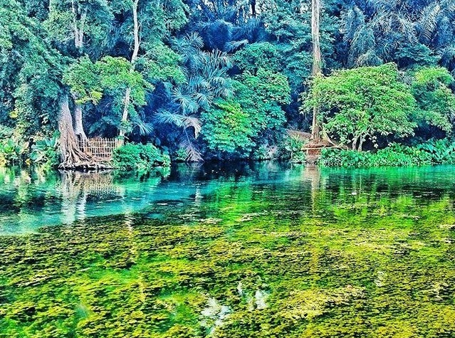 Sumber Sirah, The Hidden Underwater Paradise in Malang