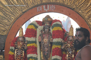 Aani,Suirya PRabhai, Purappadu , Vahanam,Sri Theliya Singar, Yoga Narasimhar,Brahmotsavam ,Purappadu,Video, Divya Prabhandam,Sri Parthasarathy Perumal, Triplicane,Thiruvallikeni,Utsavam,