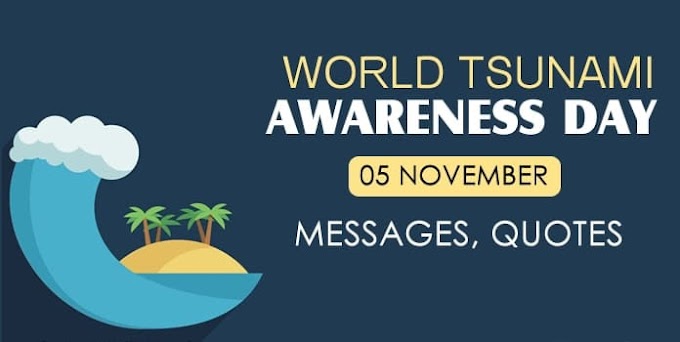 World Tsunami Awareness Day 2023: Messages, Quotes