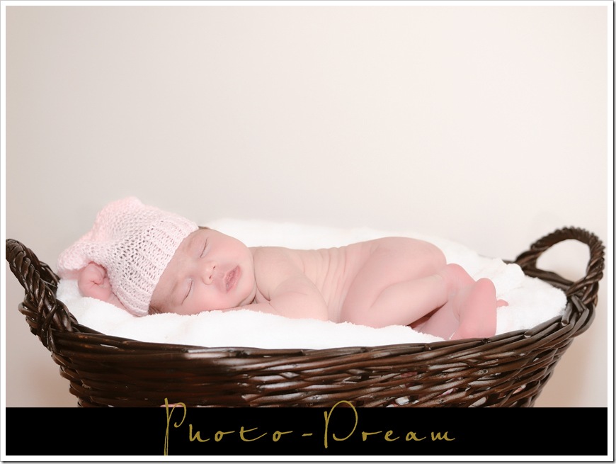 DVM_1351 copy