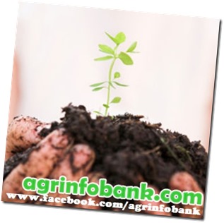 ORGANIC GROWING