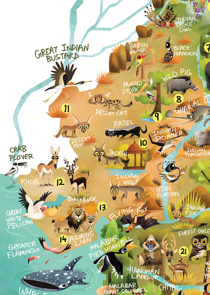 green humour wildlife map of india Green Humour The Wildlife Map Of India green humour wildlife map of india