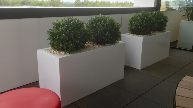 Kunstplanten huren of kopen België.  Kunstbuxus in lange witte bakken voor buiten. Prijzen op annvraag