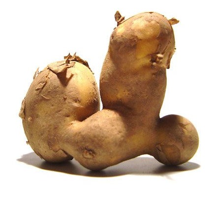 mutating-vegetables (11)