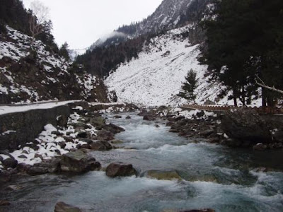 Peaks during winter season