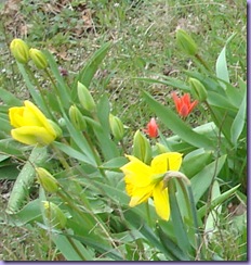 Resized_DSC03970