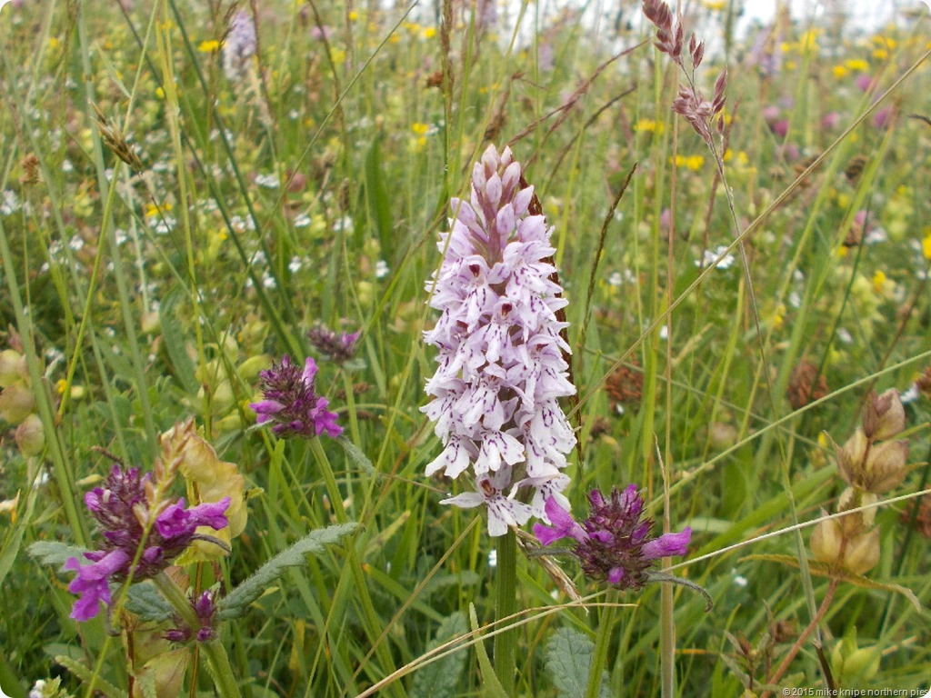weardale wander reccy 003