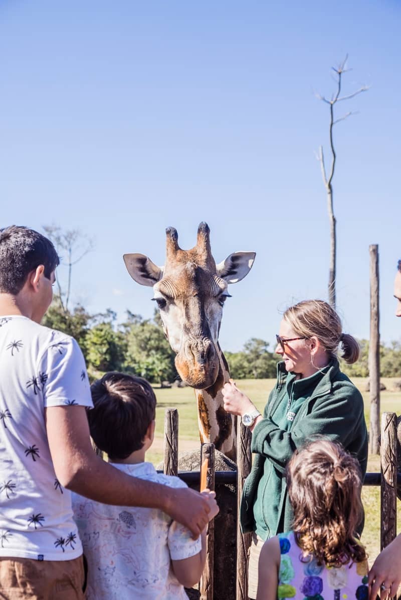 Australia Zoo | Image: Tourism and Events Queensland