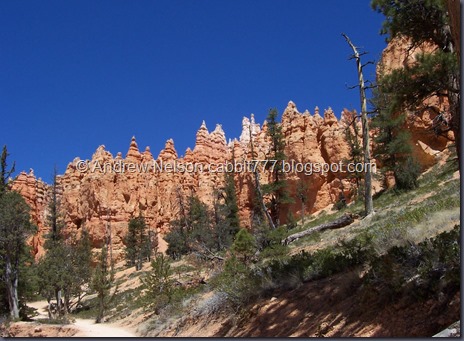 Bryce_0147