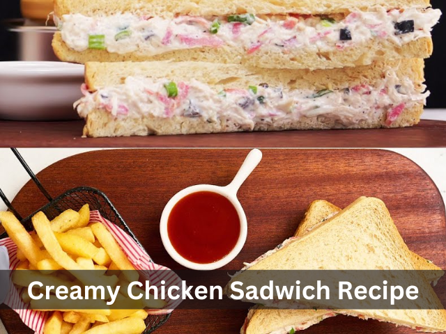  Creamy Chicken Sandwich Recipe By Cooking Recipes