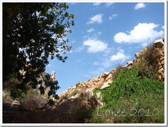 Il-Maqluba (50)