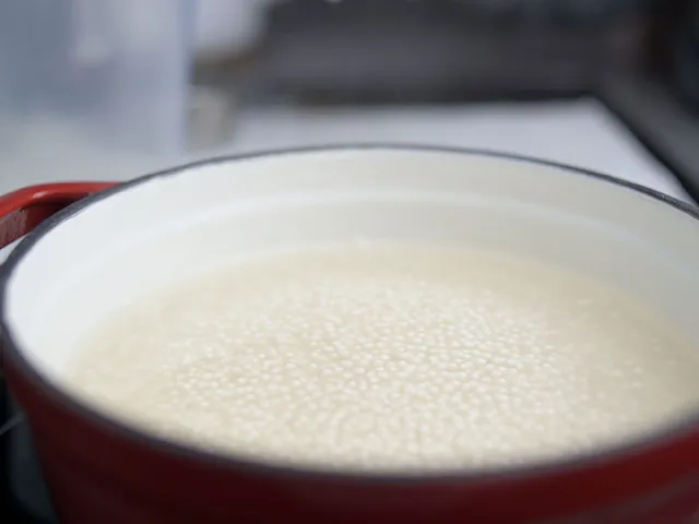 Stir and cook until tapioca pearls turn clear