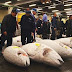 Tsukiji Market, Pasar Ikan Terbesar di Dunia