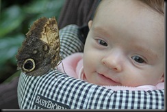 IMG_3156e_edited-1
