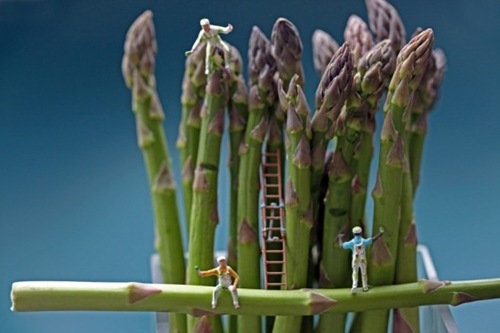 asparagus cleaners