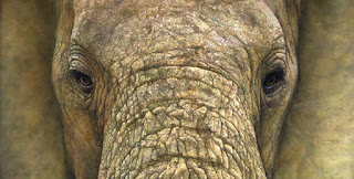 рисунок слона Рея Хари
