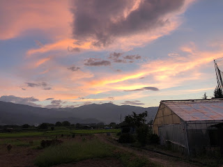 【20200810】夕焼け