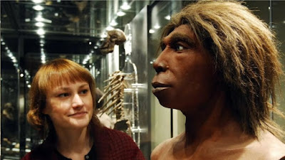 How the sexual life of human ancestors and Neanderthals affected us today