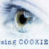 How to Use Cookies in Javascript