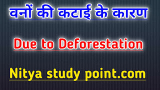 Due to Deforestation,वनों की कटाई पर निबंध,वनों की कटाई,vanon ki katai per nibandh,essay on deforestation in Hindi,vrukshon ki katai per nibandh Hindi mein
