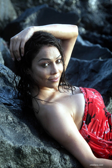 Nikita Rawal Sizzling Hot And Wet Pics For U.
