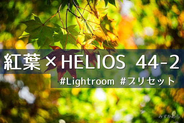 Helios 44-2 紅葉