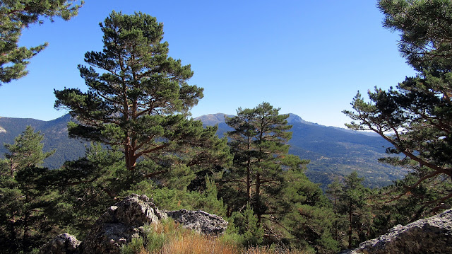 Vereda del Infante