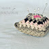 A Granny Square Pincushion