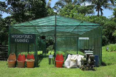 hydroponics farming manila