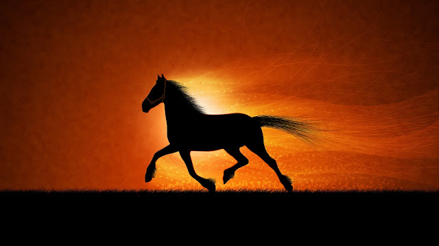 running horse artistic hd wallpaper in 1920x1080