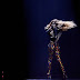 Στην Κύπρο ο διαγωνισμός της Eurovision το 2019;