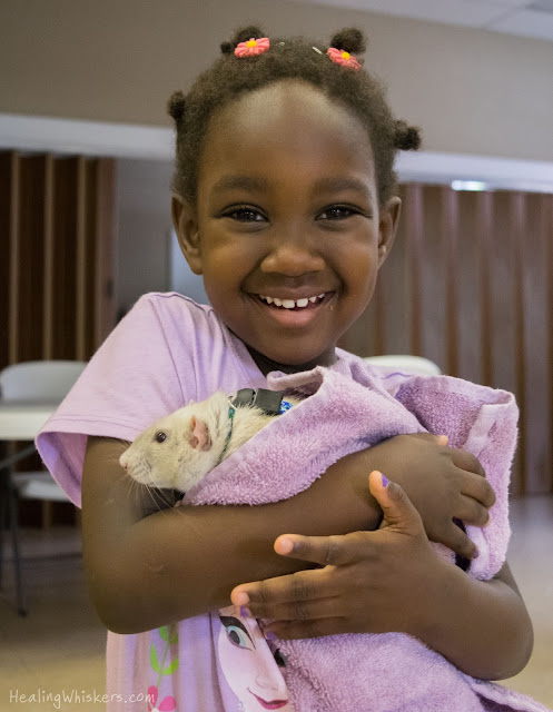 Oliver the Therapy Rat